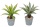 Sukkulenten künstlich Aloe 20cm Kunstpflanzen