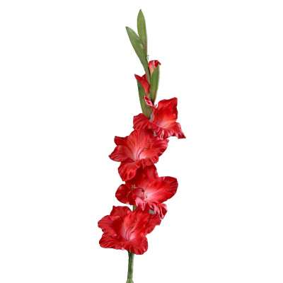 künstliche Gladiole rot 86cm