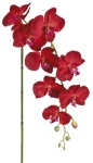 künstliche Orchideen Real Touch Blumen rot-bordeaux...