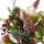 Winter Kunstblumenstrauß Christrose rosa 20cm