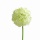 Allium 60cm Kunstblumen