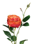k&uuml;nstliche Rosen apricot, 45 cm
