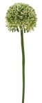 künstlicher Allium Zweig weiss, 45cm