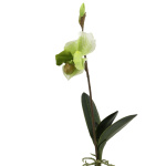 k&uuml;nstliche Frauenschuh Orchidee H 40cm
