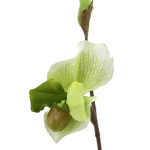 künstliche Frauenschuh Orchidee H 40cm