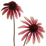 k&uuml;nstlicher Sonnenhut rosa 55cm Kunstblumen
