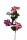 Petunie rosa, 65cm