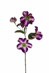 Petunie violett, 65cm