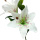 künstlich Lilien weiß, 65cm