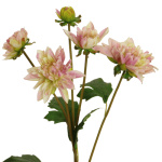 Kunstblumen Dahlien Zweig creme-magenta, 65cm