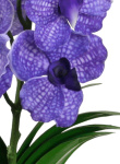 künstliche Vanda Real Touch Orchideen Pflanze...