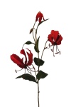 künstliche Gloriosa rot, 75cm