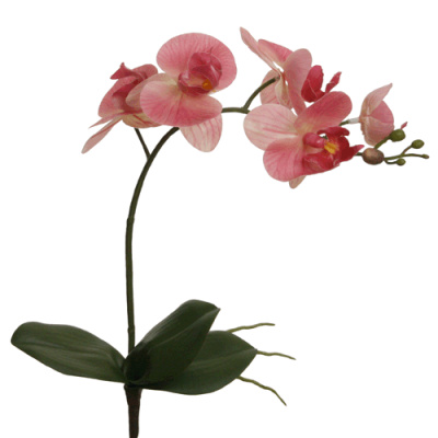 Real Touch Orchideen Phalaenopsis mit Blättern rosa 50cm