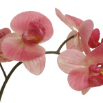 Real Touch Orchideen Phalaenopsis mit Blättern rosa 50cm