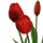 Real Touch Tulpen rot 48cm Kunstblumenstrauß