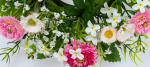 künstlicher Blumenkranz Bellis rosa Ø 20cm Frühling - Sommer