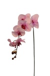 künstliche Phalaenopsis rosa, 80cm Kunst Orchideen