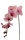 k&uuml;nstliche Phalaenopsis rosa, 80cm Kunst Orchideen