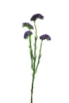 künstlicher Strandflieder 60cm violett