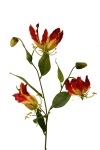 Gloriosa rot-gelb, 80cm Kunstblumenzweig