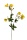 Butterblume 50cm k&uuml;nstliche Wiesenblume