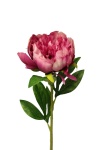 k&uuml;nstliche Pfingstrose rosa, 49cm