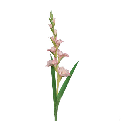 künstliche Gladiolen weiß 60cm Kunstblumen - dekotreff