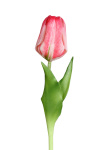 künstliche Real touch Tulpe rosa 20cm