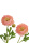 k&uuml;nstliche Ranunkeln rosa, 60cm