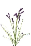 künstlicher Lavendelzweig 55cm