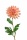 künstliche Chrysantheme lachs 60cm