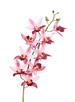 Kunst Orchideen Zweig Cymbidium rosa 85cm