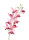 Kunst Orchideen Zweig "Cymbidium" rosa, 90cm