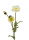 künstlicher Mohn weiß 50cm Kunstblumenzweig