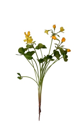 Sauerklee gelb, 40cm künstliche Wiesenblume