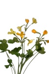 Sauerklee gelb, 40cm k&uuml;nstliche Wiesenblume