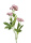 Waldsanikel violett, 50cm k&uuml;nstliche Wiesenblume