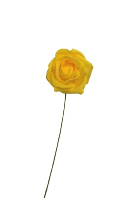 Rose f&uuml;r Ranke &Oslash; 7cm, gelb