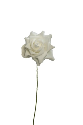 Rose für Ranke Ø 7cm weiß