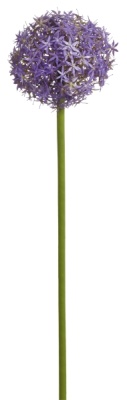 Allium hell 75cm/ Ø 12cm Kunstblumen Zweig