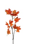 Ahornzweig orange-rot, 70cm k&uuml;nstlicher Herbstzweig