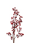 künstlicher Beerenzweig Beeren rot Kunstpflanze 77 cm N-89078-3 F21 