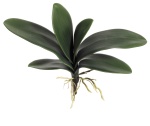 k&uuml;nstliche Orchideenbl&auml;tter 25cm