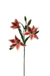 künstlich Lilien rosa, 60cm