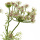 Schafgarbe 75cm k&uuml;nstliche Wiesenblume