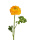 Kunstblume Ranunkel gelb, 50cm