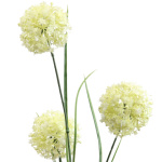 Kunstblumen Alliumzweig weiss, 60cm