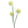 Kunstblumen Alliumzweig weiss, 60cm