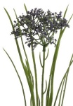 k&uuml;nstliche Knollige Seidenpflanze 60cm