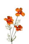 k&uuml;nstliche Cosmea orange 50cm